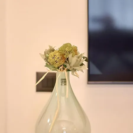 Jad In Infinity - Parking Lejlighed Mamaia